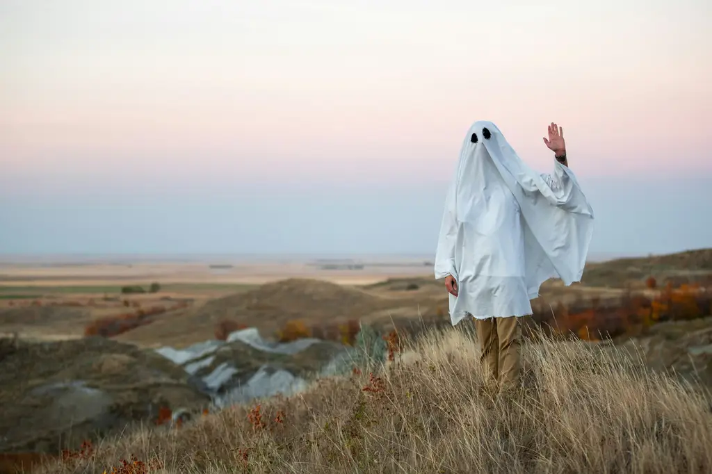 處女座：追求完美的完美主義者