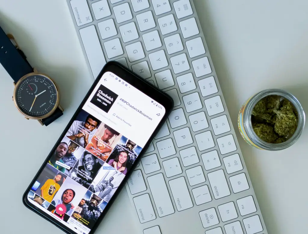 星空中的台灣特色:用台語說十二生肖星座