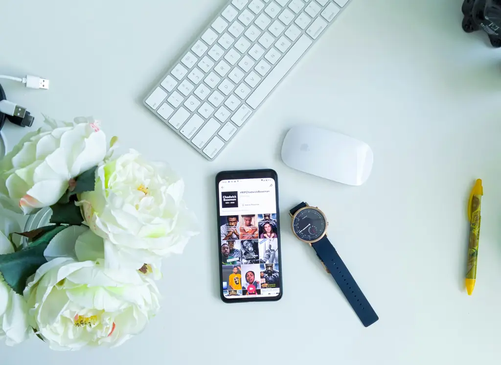 11月20號的生日星座：天蠍座！