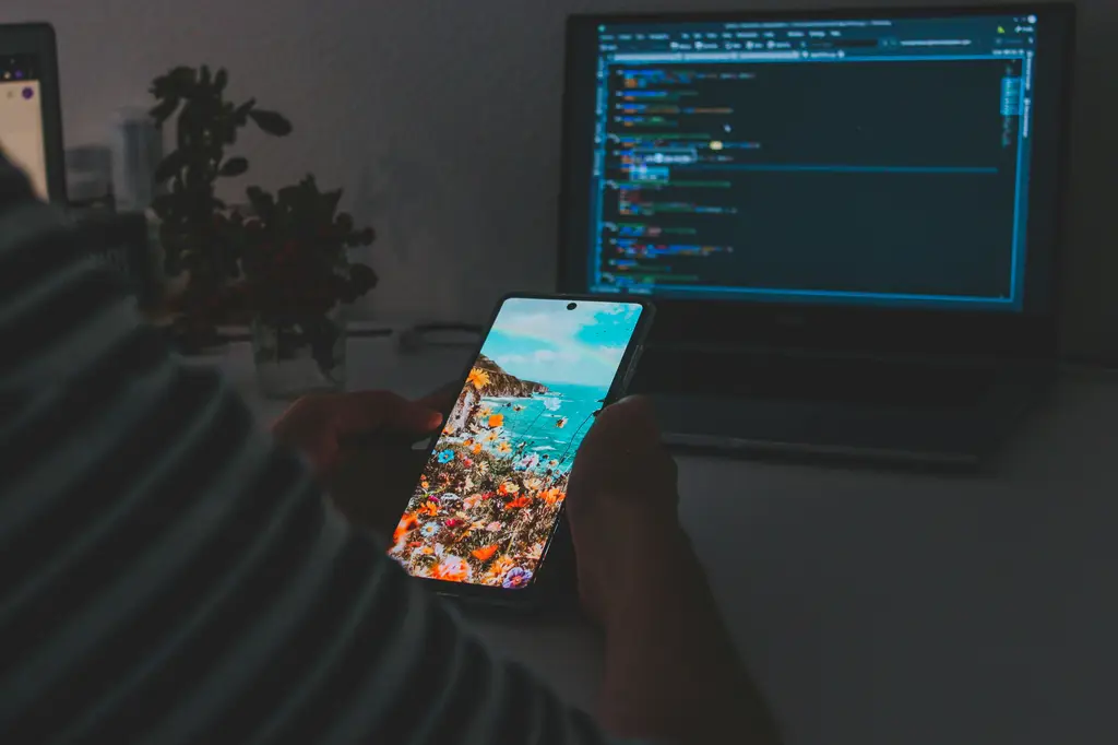 十二星座台灣用語詳解