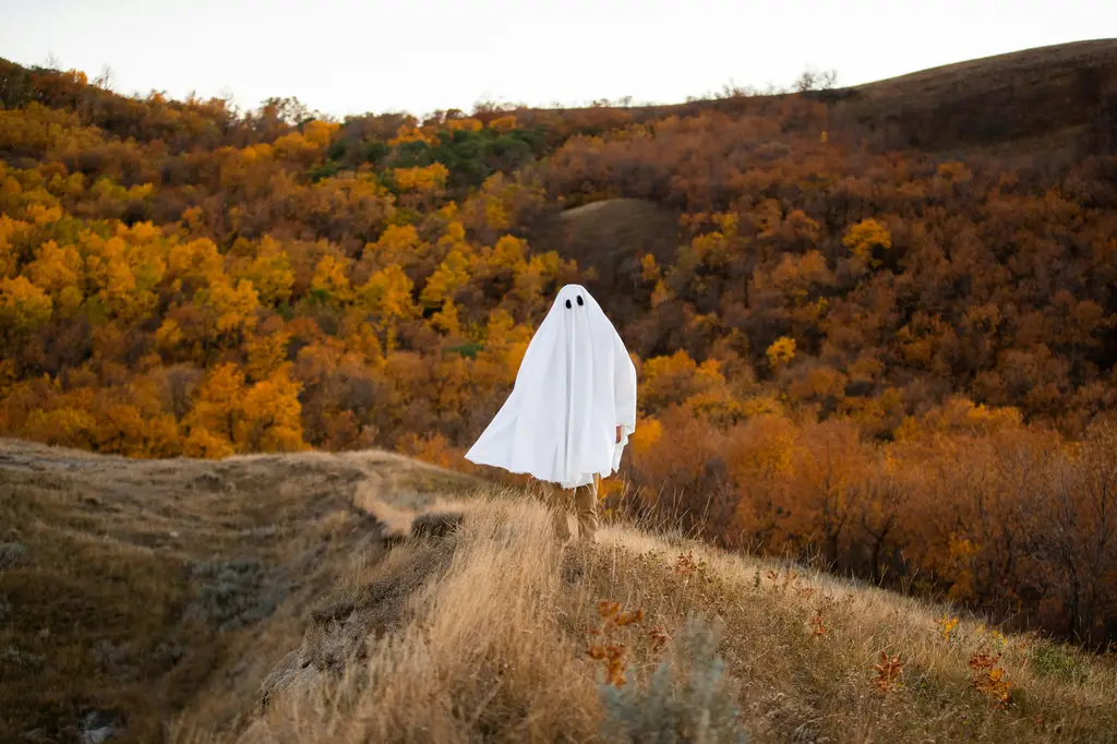 金牛座，塊陶阿、穩紮穩打个好好先生