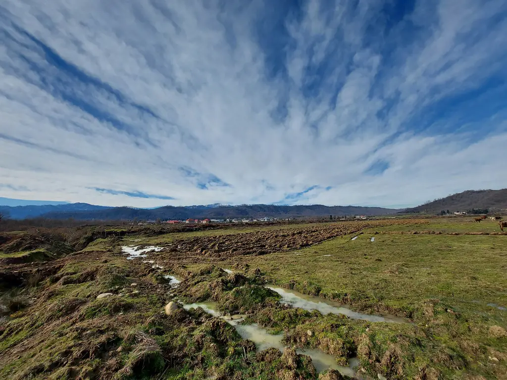 2024台灣星座運勢指南：蘇珊米勒的詳盡預測