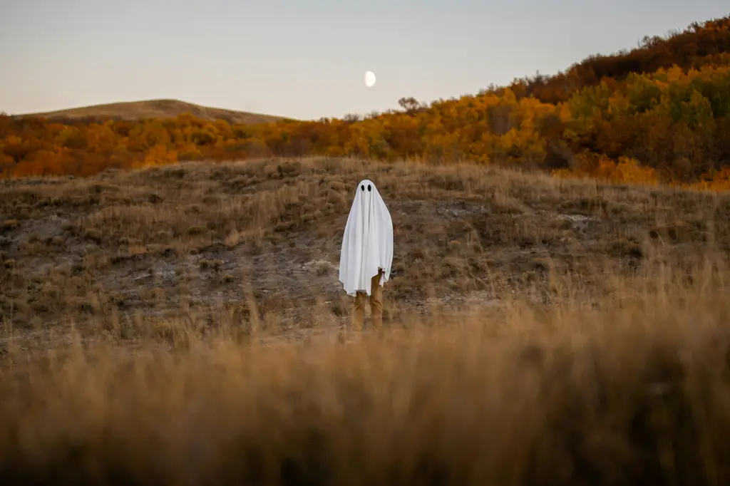 十二星座另一半長相特徵大解析